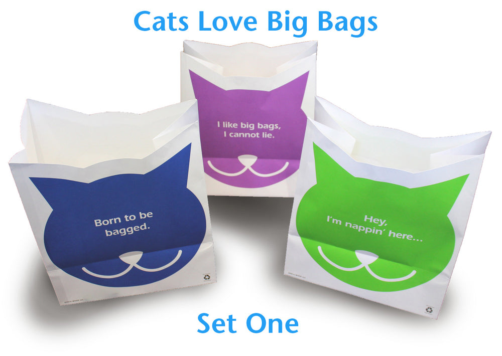 Cats Love Big Bags!